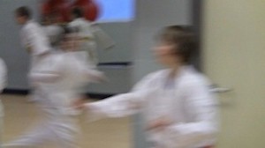Blurred karateka